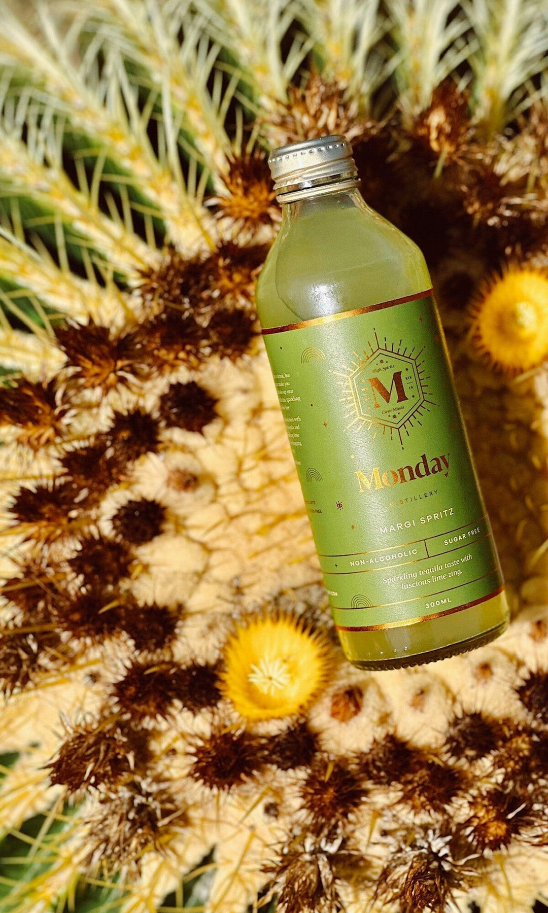 【美品】MARGARET   Margaret Soft Cookies with Nuts - 12packs 176g - Exotic Snacks Company